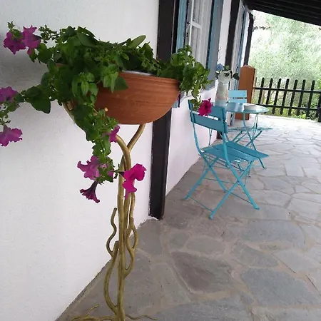 Sea & Sun House Tatil Evi